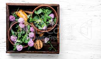 Clover in herbal medicine