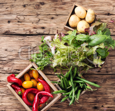 Harvest fresh vegetables and greens
