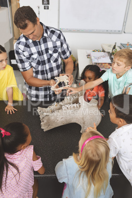 Teacher explaining and showing animal skeleton to his pupils in classroom