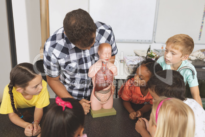 Teacher showing a dummy skeleton to his school kids in classroom at school