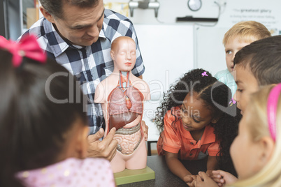 Teacher showing a dummy skeleton to his school kids in classroom at school