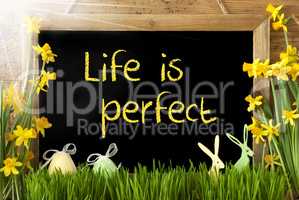 Sunny Narcissus, Easter Egg, Bunny, Quote Life Is Perfect