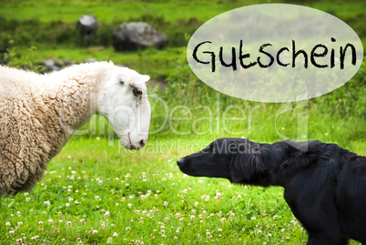 Dog Meets Sheep, German Word Gutschein Means Voucher