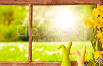 Window, Sunny Green Meadow, Easter Decoration, Spring Flower