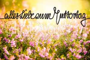 Erica Flower Field, Calligraphy Muttertag Means Happy Mothers Day