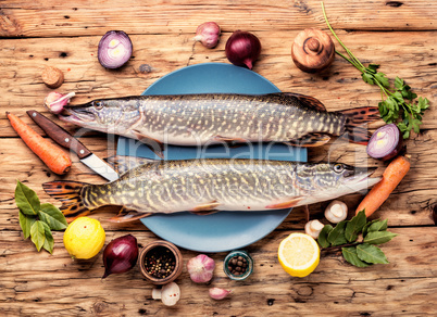 Fish pike on the kitchen board