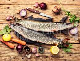 Fish pike on the kitchen board