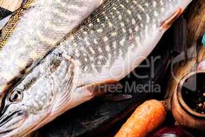 Fish pike on the kitchen board