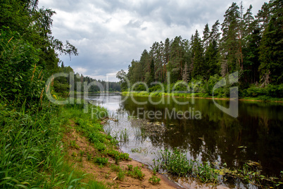 Landscape with river, forest and blue sky.