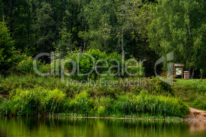 Green grass and forest on the river bank.