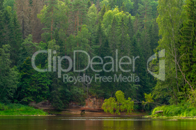 Landscape with river, cliff  and forest in Latvia.