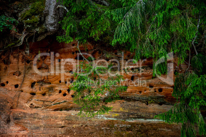 Red sandstone cliff and trees near the river.