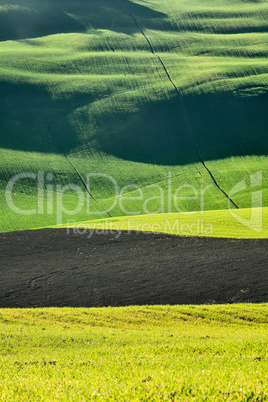 Rural grass field landscape