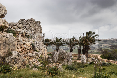 Gozo - ?gantija temples