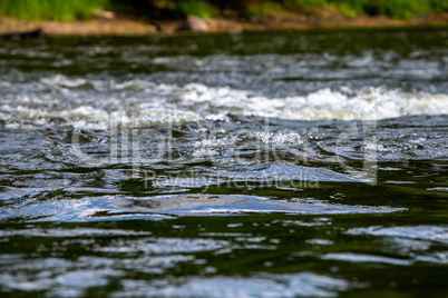 Reflections in shallow river as background.