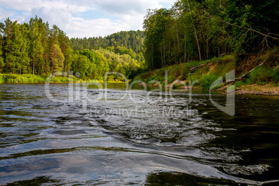 Landscape of river and green forest.