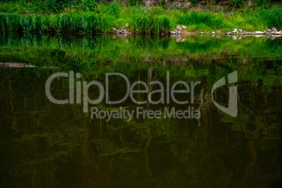 Landscape of river and reflection of green forest.