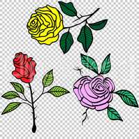 Vintage Roses Set tattoo vector illustration