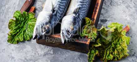 Smoked fish with herb