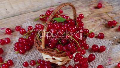 Redcurrant in basket on brown wooden table rotating