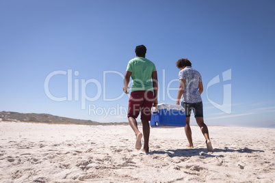 Young men carrying ice box on beach