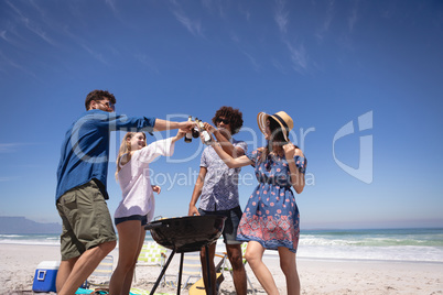 Group of friends toasting beer bottle at beach in the sunshine