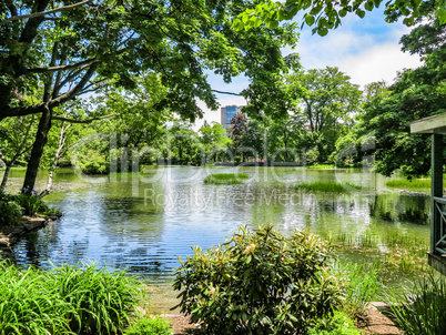 Pond in a Park