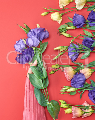 female hand in a pink sweater holding a branch of a blue flower