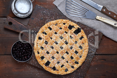 baked round black currant cake and powdered with icing sugar