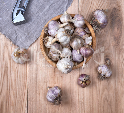 unpeeled fresh garlic fruits in wooden bowl