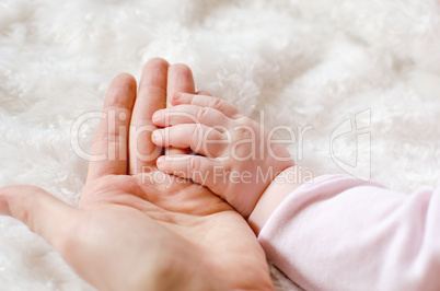 Baby and mothers hands isolated on white