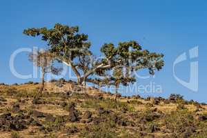 Landscape view near the Blue Nile falls, Tis-Isat in Ethiopia, Africa