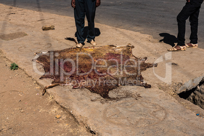 Coat drying on the road in the Simien Mountains National Park in Ethiopia