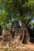 Ta Som temple in Angkor Wat complex, Cambodia, Asia