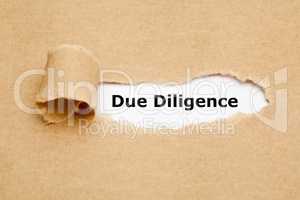 Due Diligence Risk Management Ripped Paper Concept