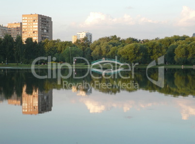 summer in city park