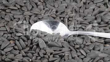 sunflower seeds background and one teaspoon