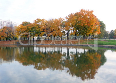 autumn in city park