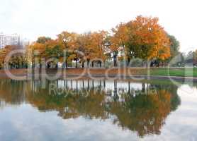 autumn in city park