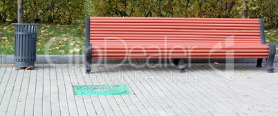 bench  in park