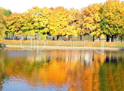 autumn in city park