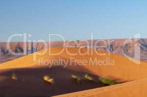 Große Sanddüne in der Sahara - Marokko