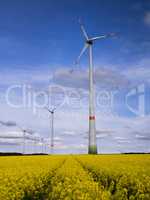 Windkrafträder im gelben Rapsfeld vor blauem Hintergrund
