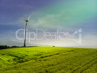 Windkraftrad mit gelbem Rapsfeld und blauem Himmel