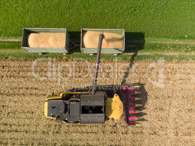 Maisernter lädt gehäckselten Mais auf Traktor-Anhänger