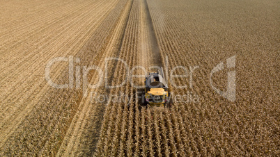 Luftaufnahme von Maisernter im Maisfeld