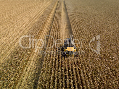 Luftaufnahme von Maispflücker in Maisfeld