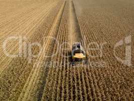 Luftaufnahme von Maispflücker in Maisfeld