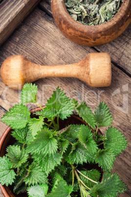 Nettle leaves on rustic background