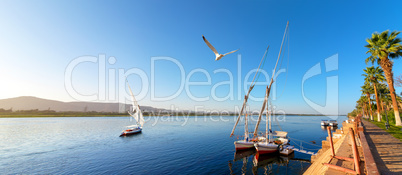 Sailboat in Aswan